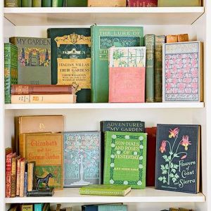 Photo: mustanggina.tumblr.com