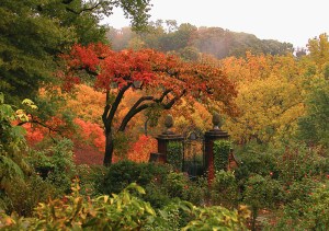 View from the Rose Garden in Autumn