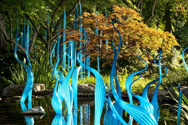 Blue Marlins by Dale Chihuly; glassworks exhibition at the Atlanta Botanical Garden