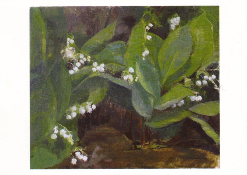 Painting of Lily of the Valley, 2009, Charlotte Verity.