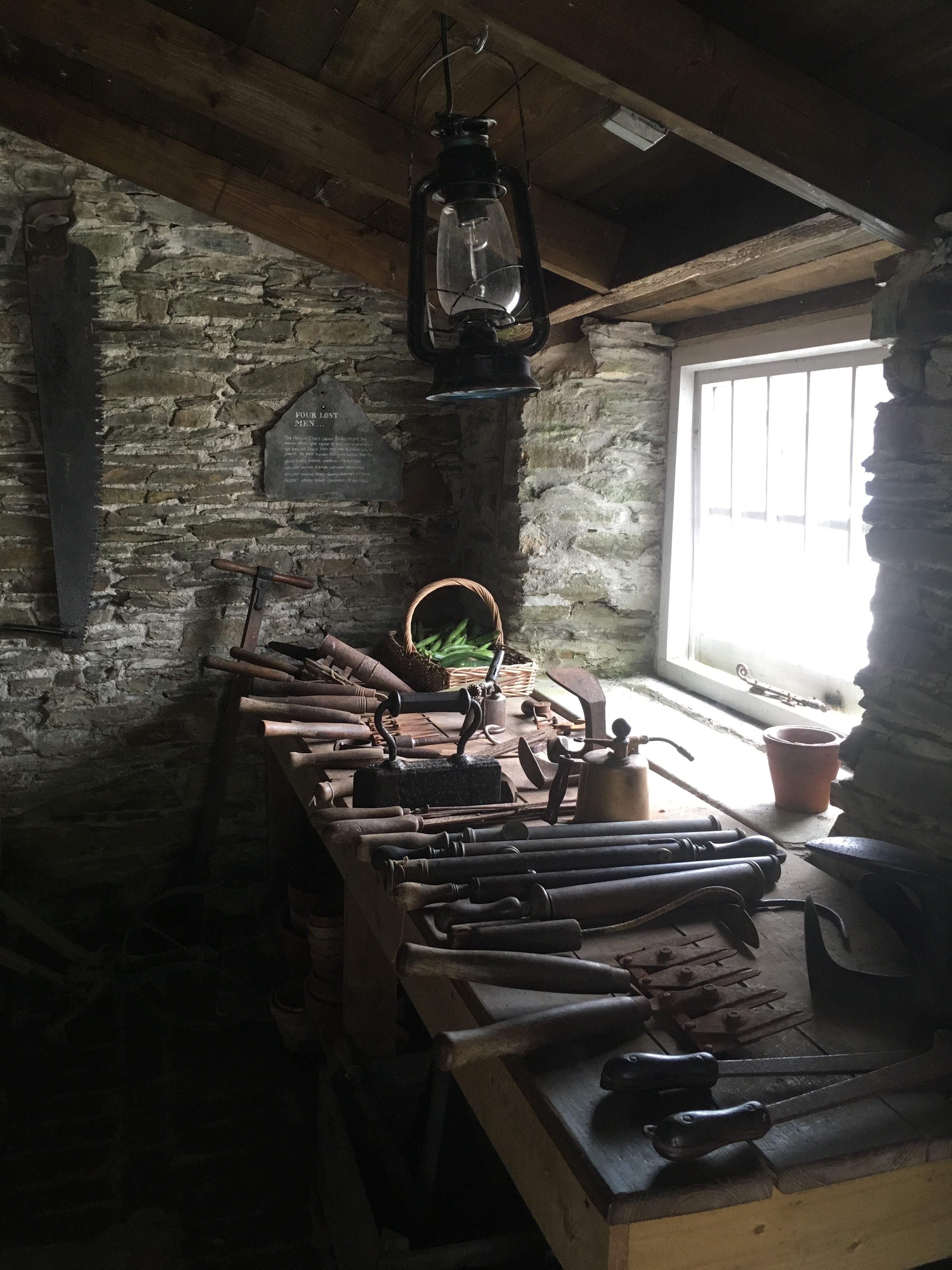 Garden shed and vintage garden tools at The Lost Gardens of Heligan, Cornwall, England